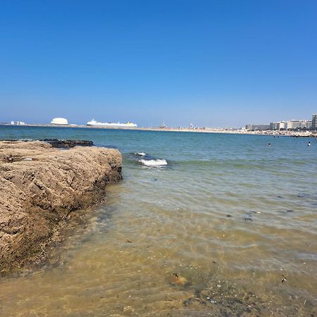 Matosinhos Relax And Fun By Portoproperties4You Εξωτερικό φωτογραφία